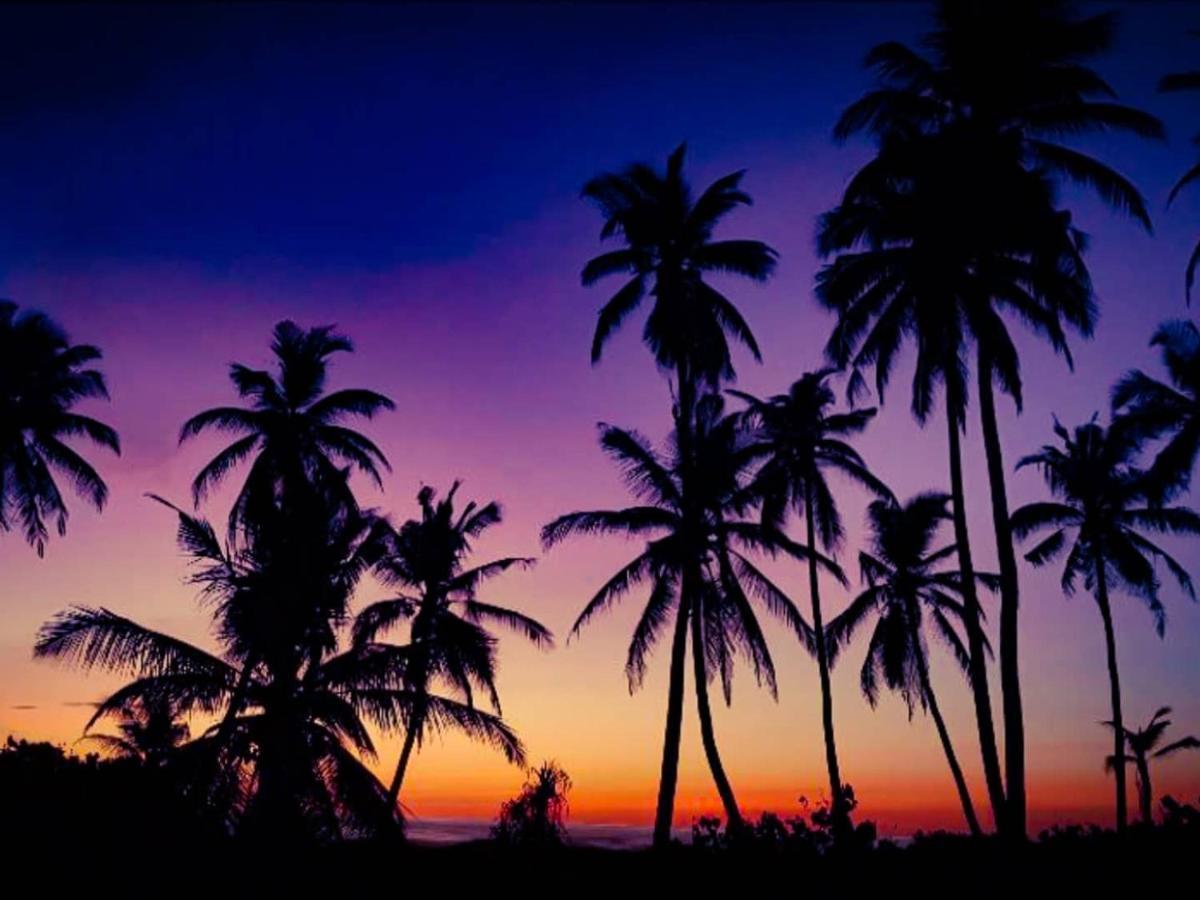 Reef Guest House Male Bagian luar foto